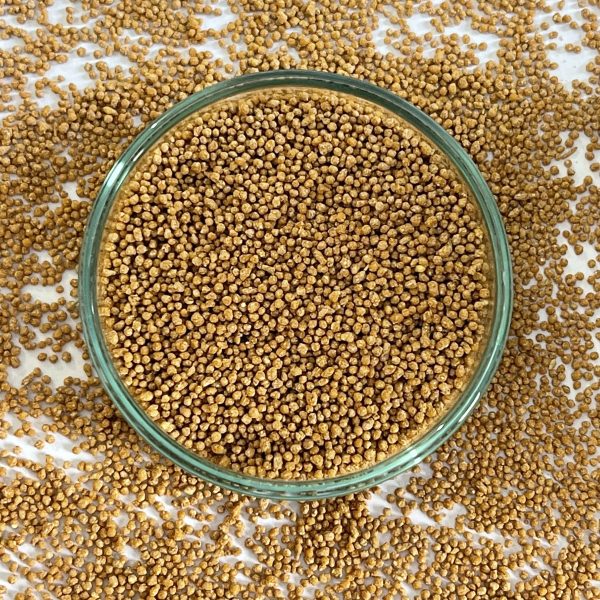 Rosa dama Scena pellets