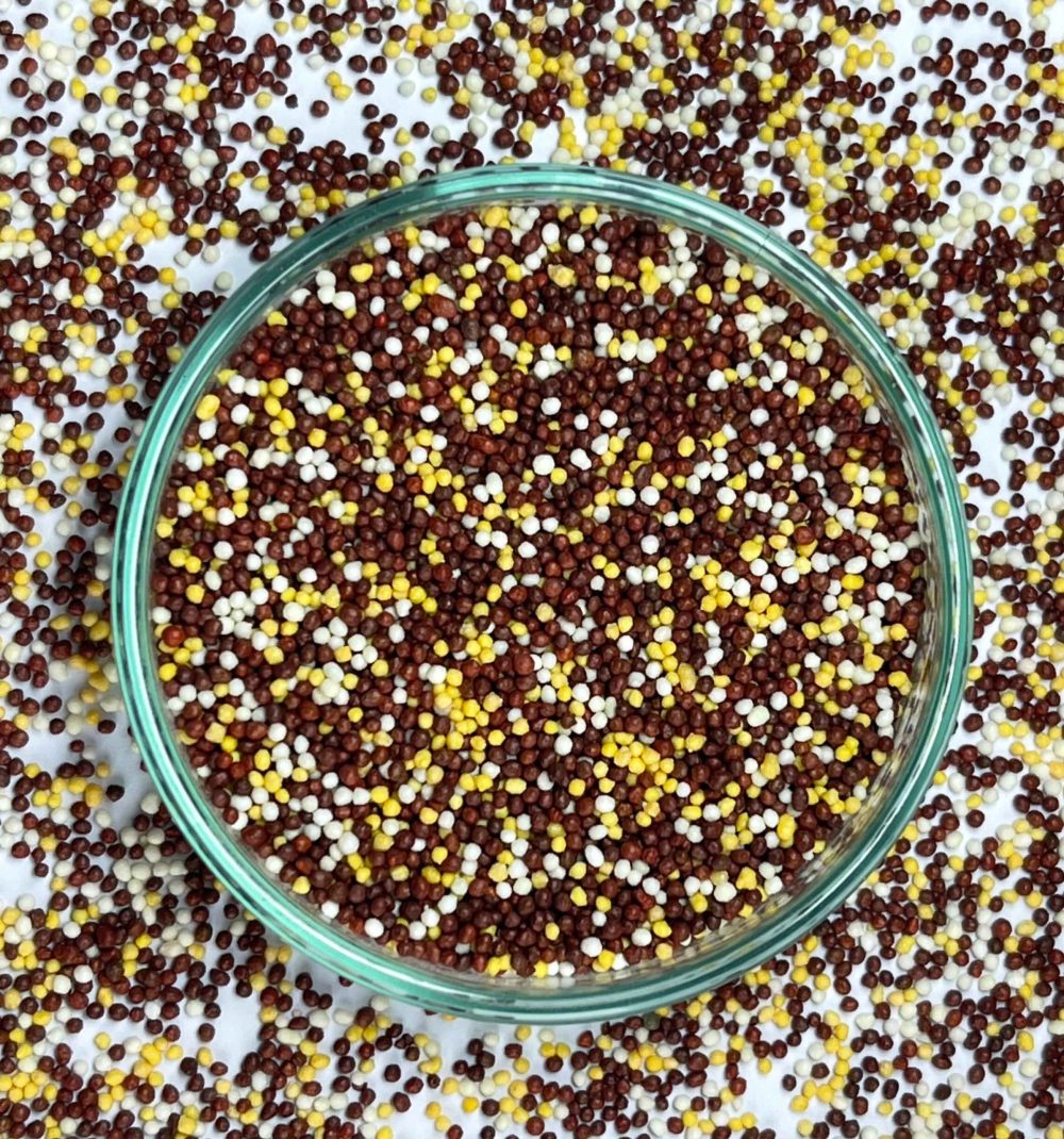 Vitamins (B1,B2,B6,B9,B12) + Iron + Zinc + Copper Pellets
