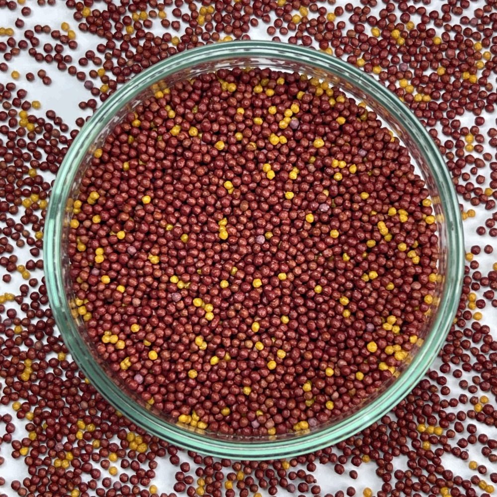 Ferrous Bisglycinate + Vit C Pellets