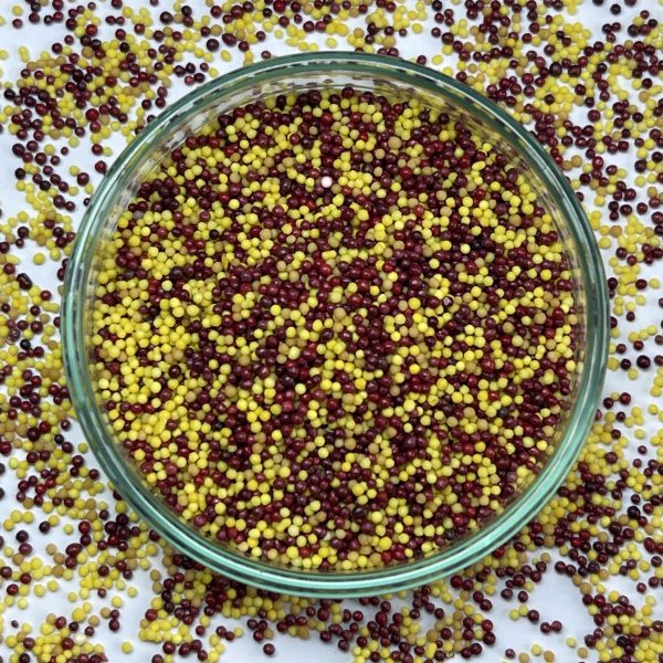 Vitamins (B6,B9,B12) + Iron + Zinc + Copper Pellets