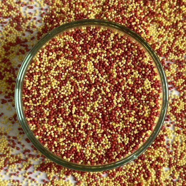 Vitamin C + B Complex + Zinc + PABA + L-cysteine Pellets