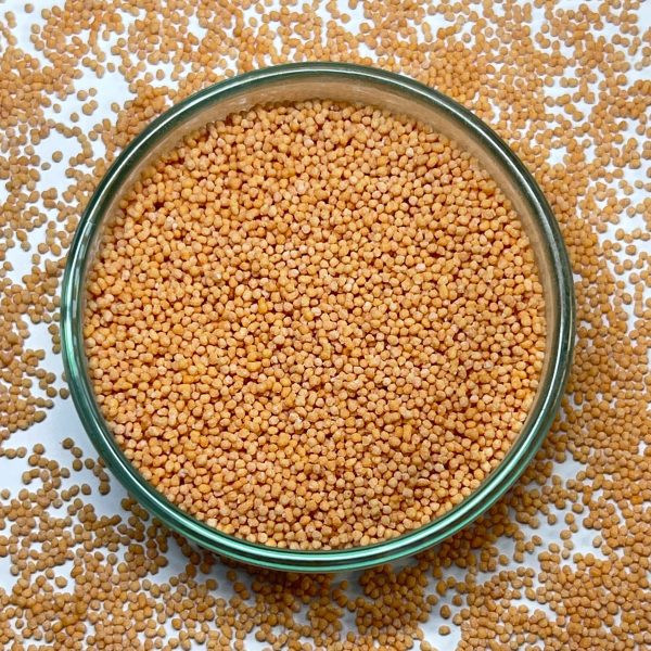 selenium(200 mg)+zinc+vit C +vit E+vit A