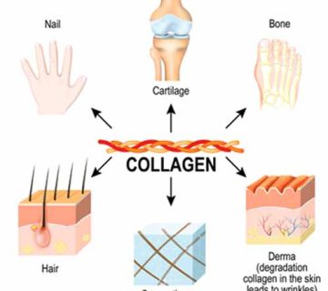 کلاژن